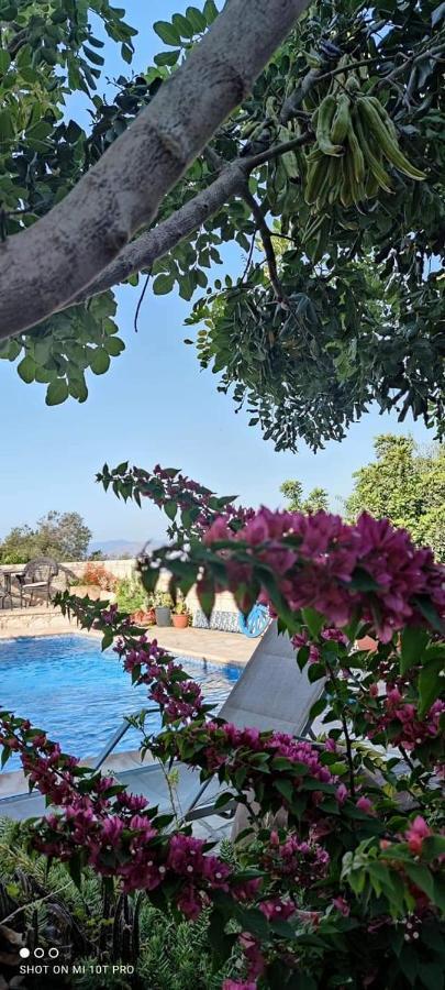 Aliki'S House 1+ 2 Guest House Polis Ngoại thất bức ảnh